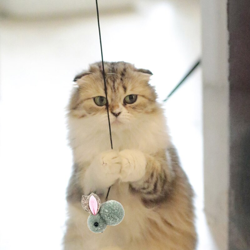 Interactive Door Hanging Cat Toy for Self Play Interactive Door Hanging Cat Toy for Self Play