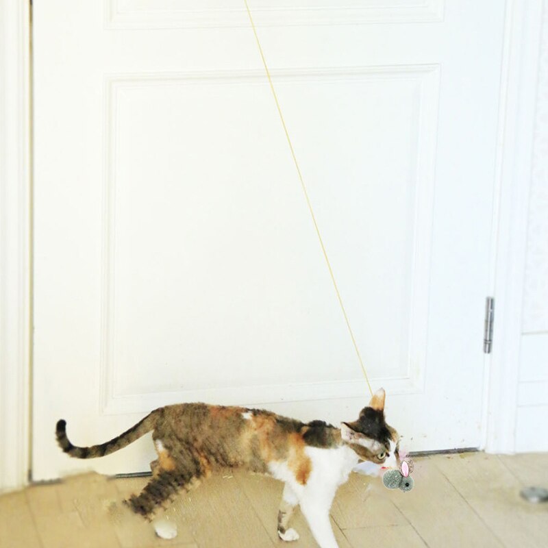 Interactive Door Hanging Cat Toy for Self Play Interactive Door Hanging Cat Toy for Self Play