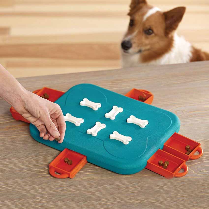 Interactive Puzzle Dog Feeder Interactive Puzzle Dog Feeder