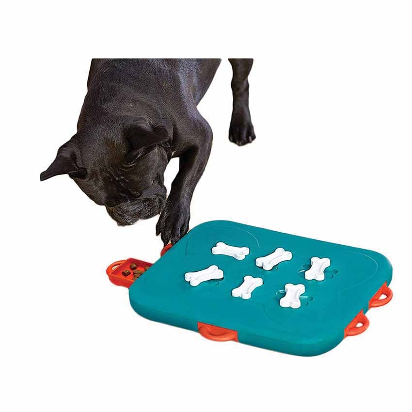 Interactive Puzzle Dog Feeder