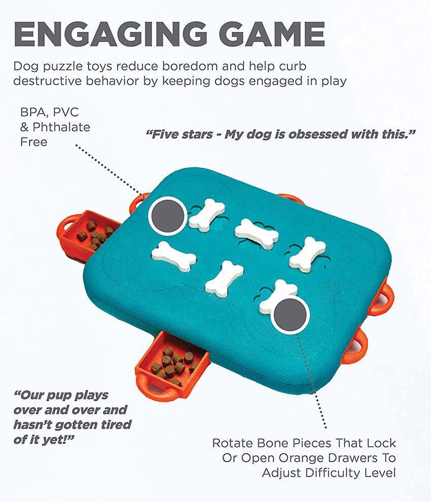 Interactive Puzzle Dog Feeder