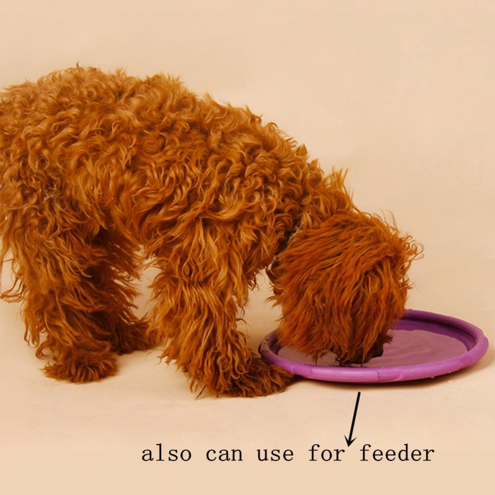 Interactive Rubber Dog Disc Toy
