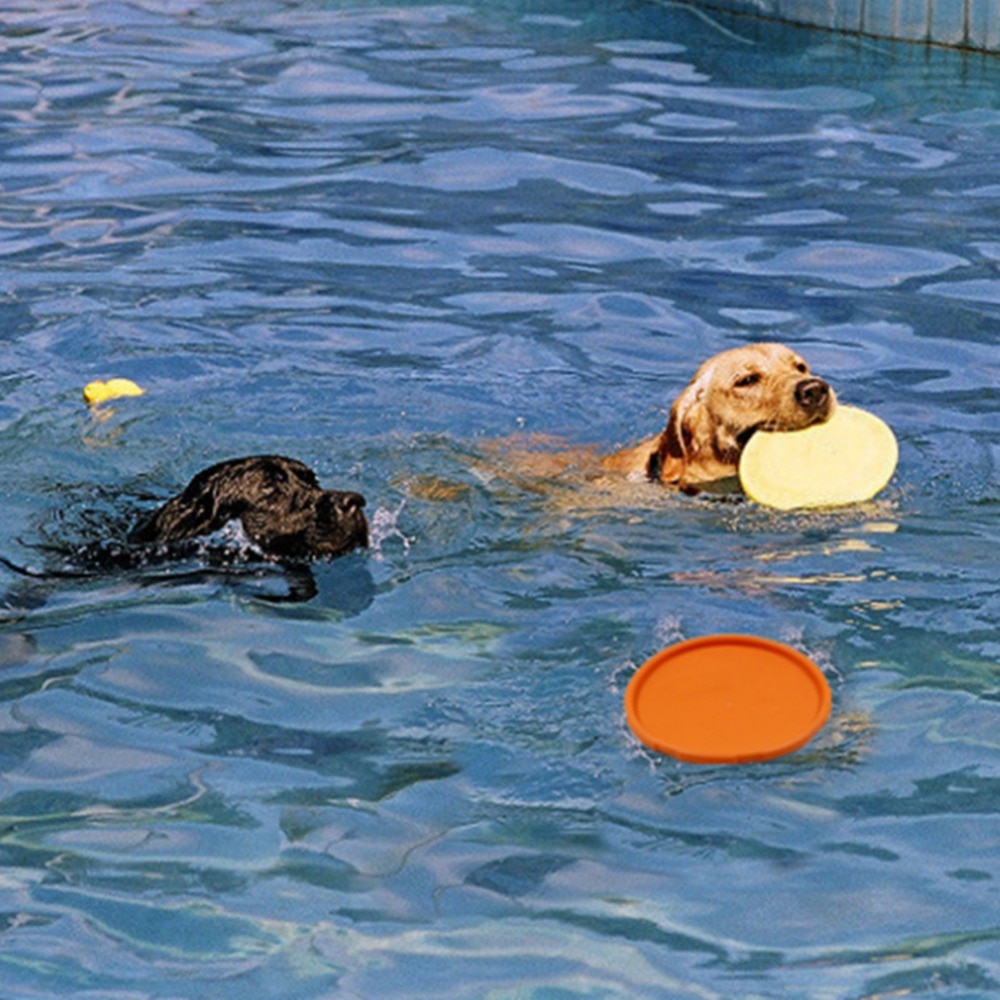 Interactive Rubber Dog Disc Toy