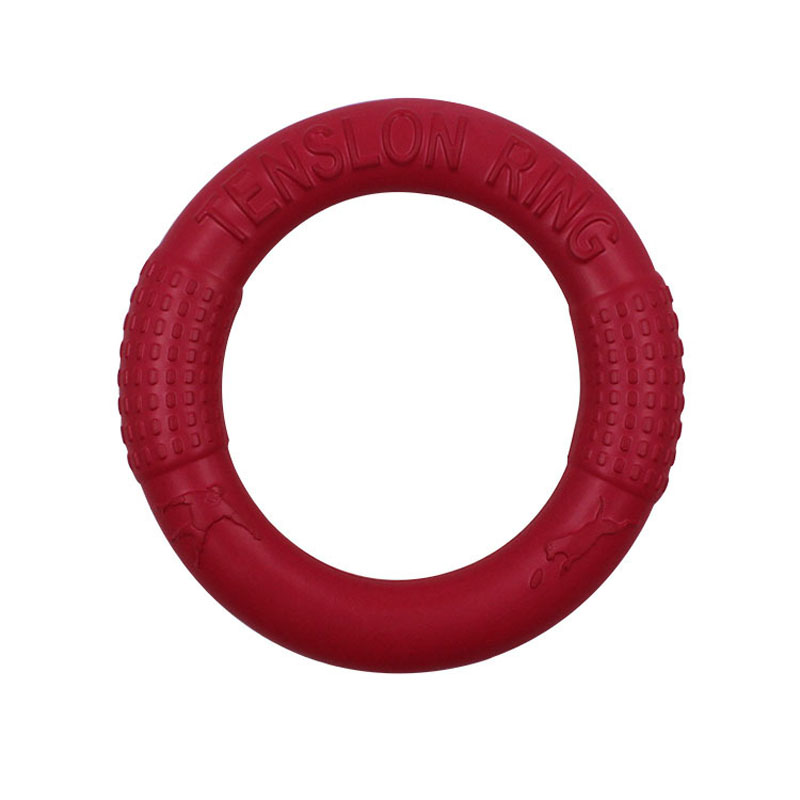 Interactive Training Dog Ring Toy