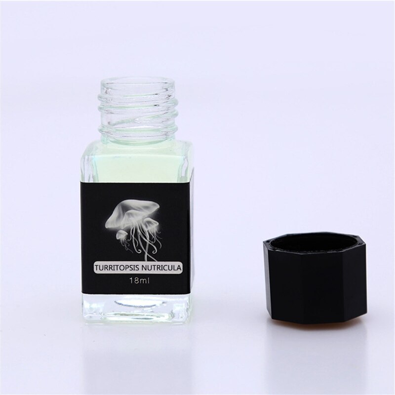 Invisible Ink for Fountain and Glass Dip Pen