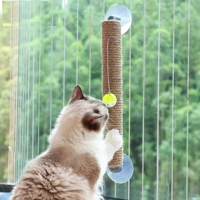 Jute Wall Mounted Cat Scratching Post