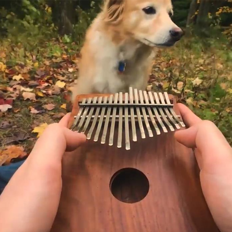 Kalimba Thumb Piano 17-Key Instrument Kalimba Thumb Piano 17-Key Instrument