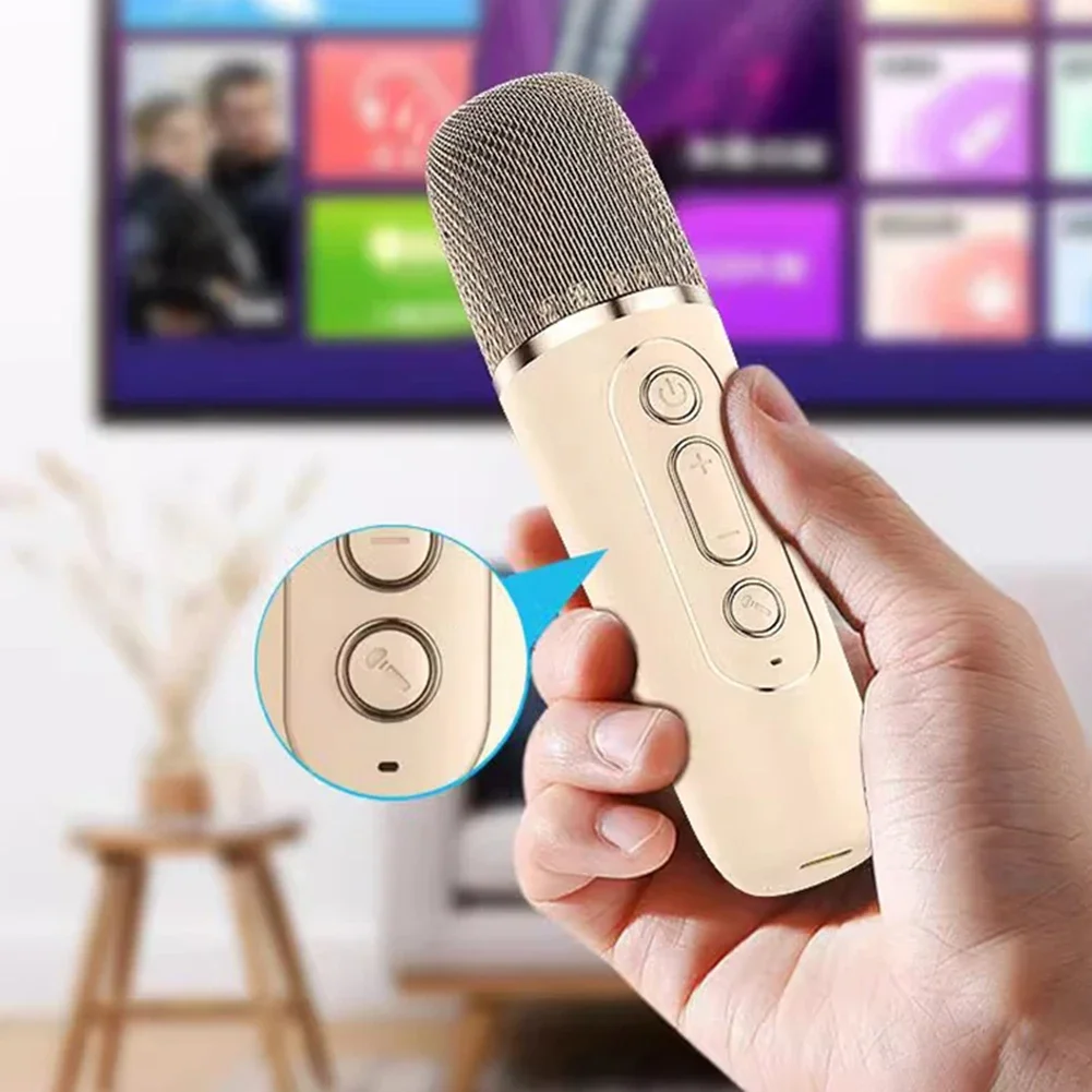 Karaoke Machine Portable Bluetooth PA Speaker System with 2 Wireless Microphones Home Family Singing Children's Gifts