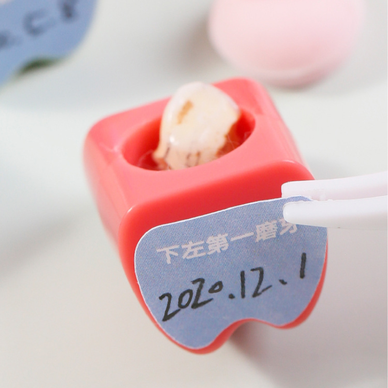Keepsake Baby First Curl and Tooth Set Keepsake Baby First Curl and Tooth Set