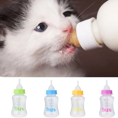 Kitten Bottle Milk Feeding Bottle Kitten Bottle Milk Feeding Bottle