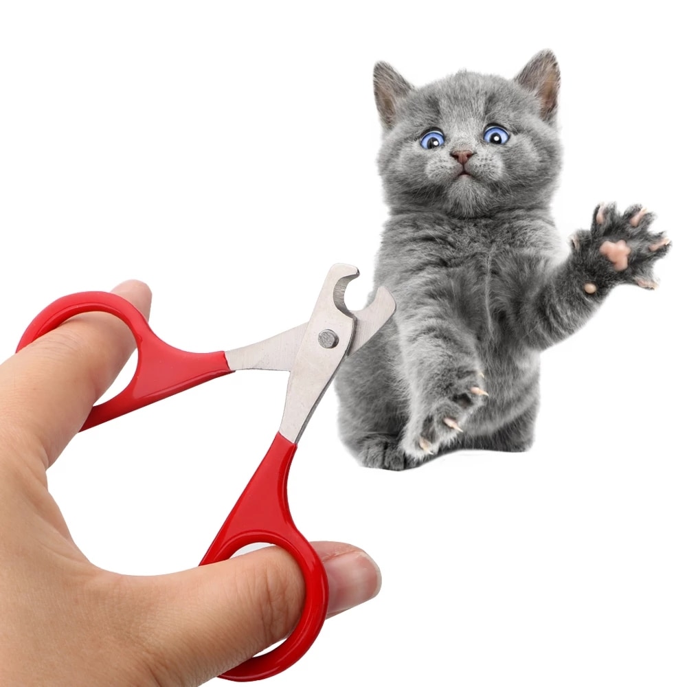 Kitten Nail Cutter Trimming Scissors Kitten Nail Cutter Trimming Scissors