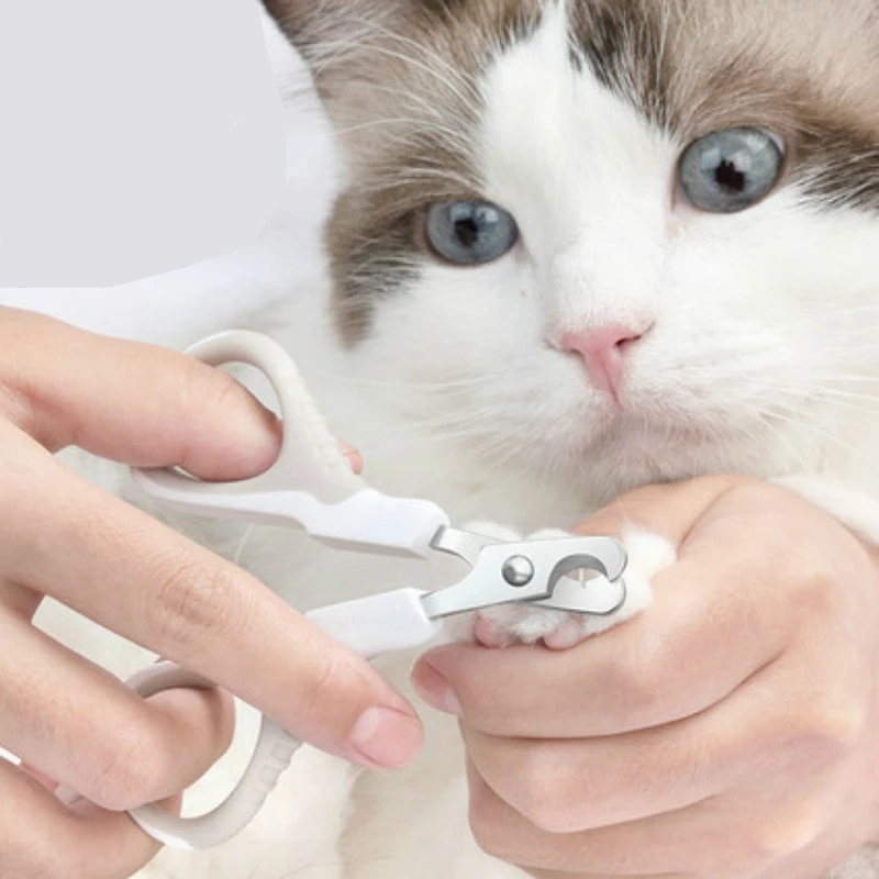 Kitten Nail Cutter Trimming Scissors