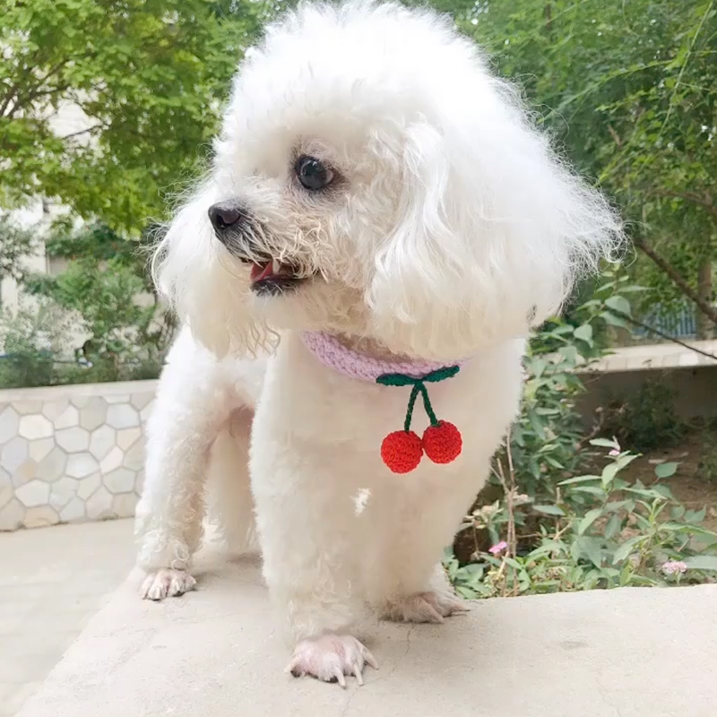 Knitted Cherry Dog Collar