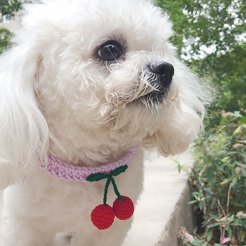 Knitted Cherry Dog Collar