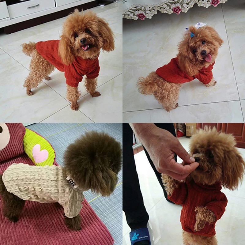 Knitted Dog Sweater Turtleneck Sweater Knitted Dog Sweater Turtleneck Sweater