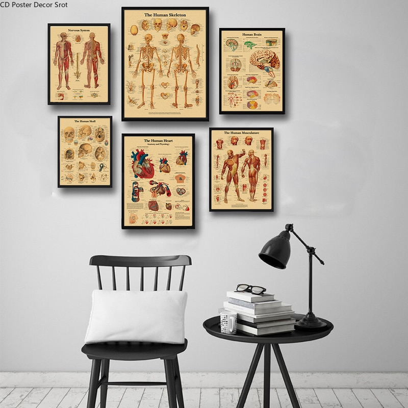 Kraft Paper Human Anatomy Poster Kraft Paper Human Anatomy Poster