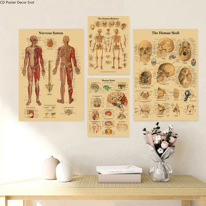 Kraft Paper Human Anatomy Poster Kraft Paper Human Anatomy Poster