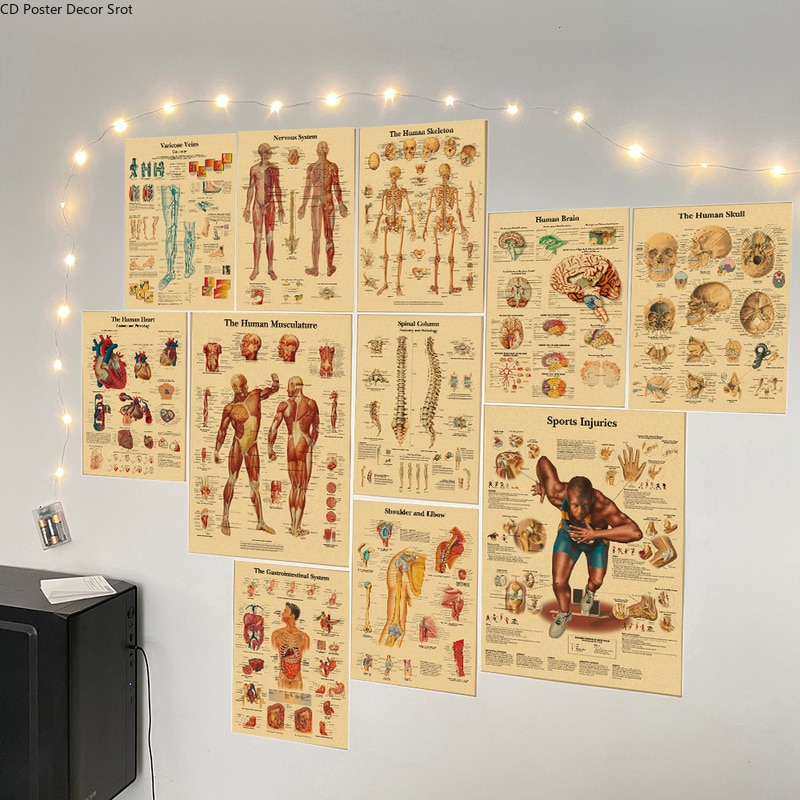 Kraft Paper Human Anatomy Poster Kraft Paper Human Anatomy Poster