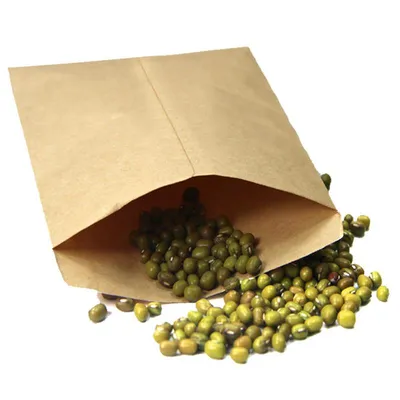 Kraft Paper Seed Bags (100pcs) Kraft Paper Seed Bags (100pcs)