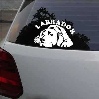 Labrador Dog Car Window Sticker Labrador Dog Car Window Sticker