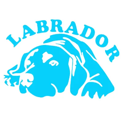 Labrador Dog Car Window Sticker Labrador Dog Car Window Sticker