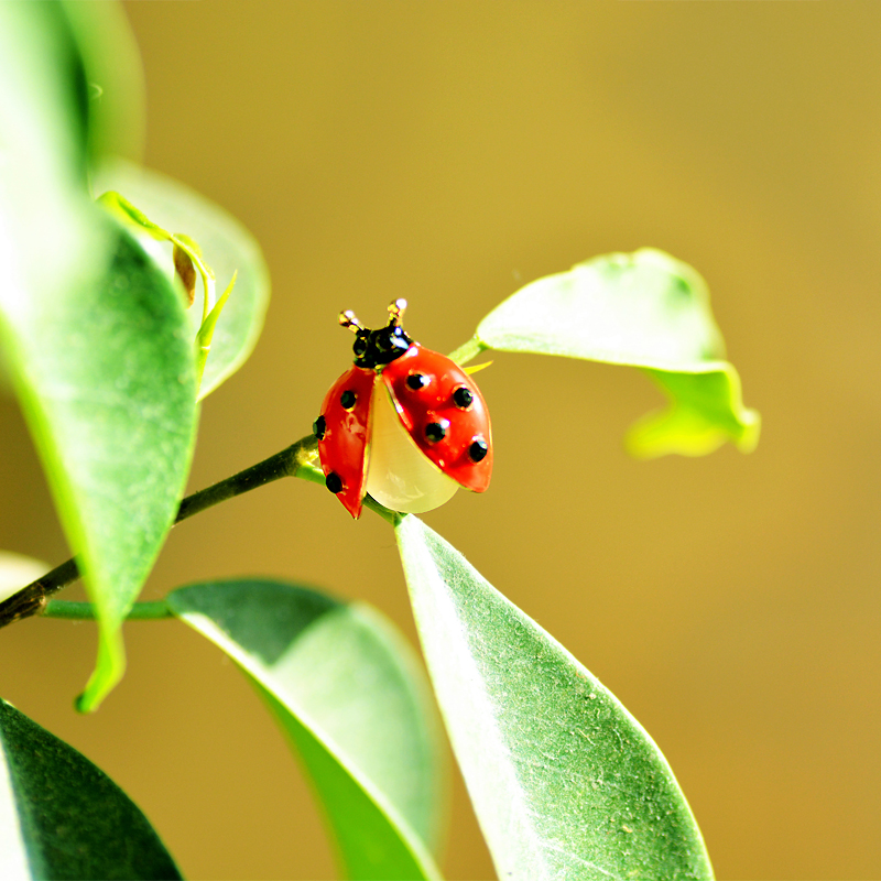 Ladybug Brooch with Rhinestones and Opal