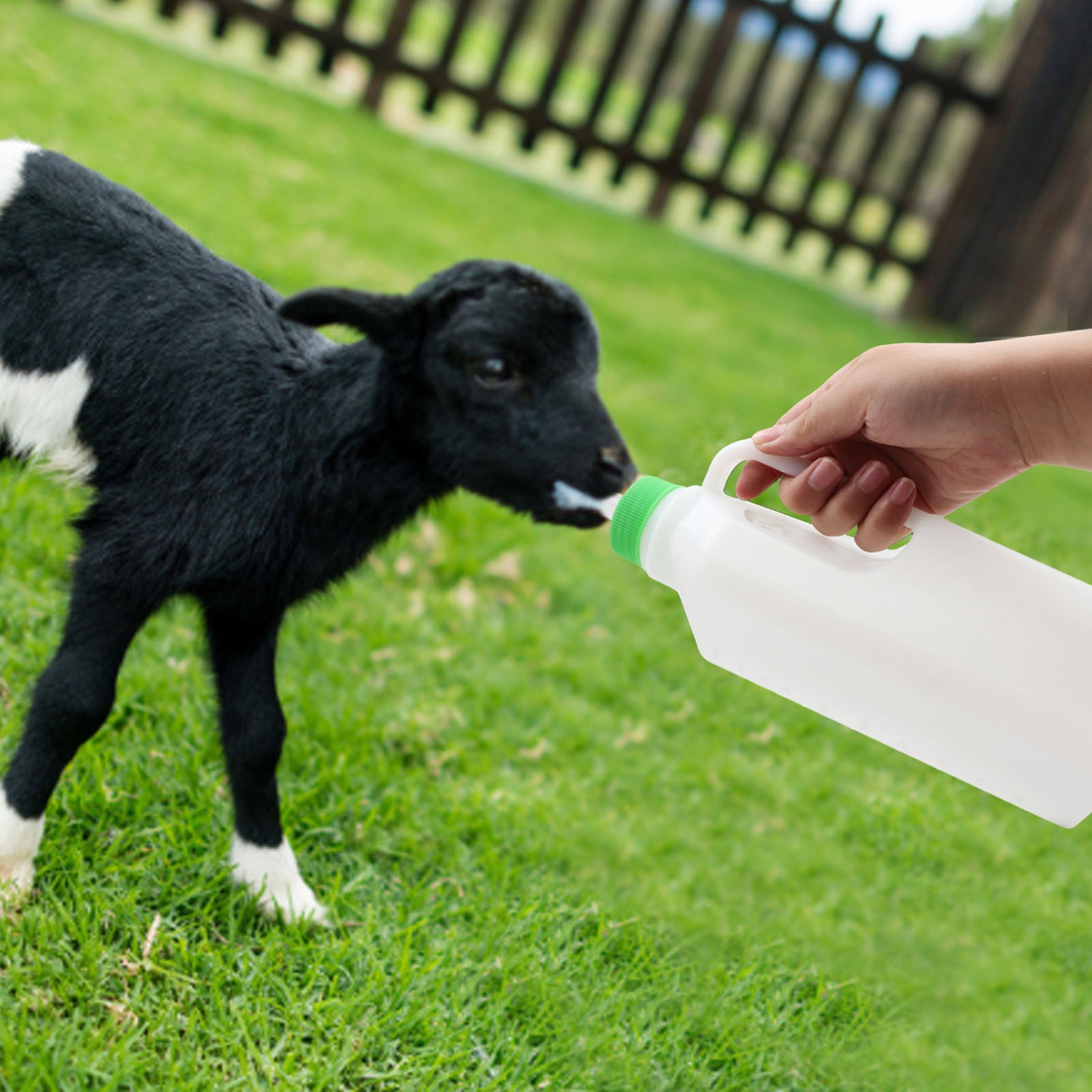 Large Capacity Calf Feeding Bottle