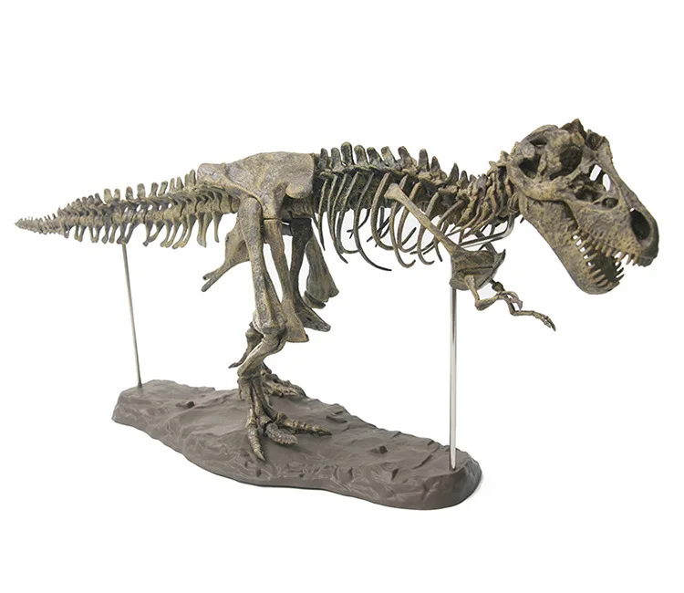 Large DIY Dinosaur Skeleton Toys Ornament Simulation T-Rex Model Jurassi Assembled Skeleton Park Fossilized Dragon for