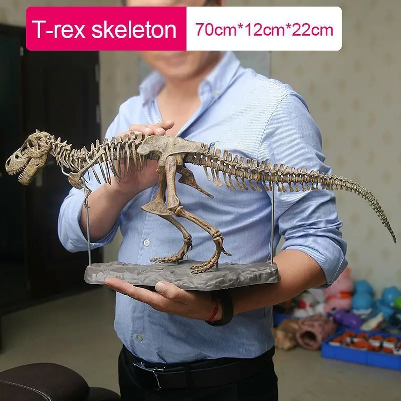 Large DIY Dinosaur Skeleton Toys Ornament Simulation T-Rex Model Jurassi Assembled Skeleton Park Fossilized Dragon for