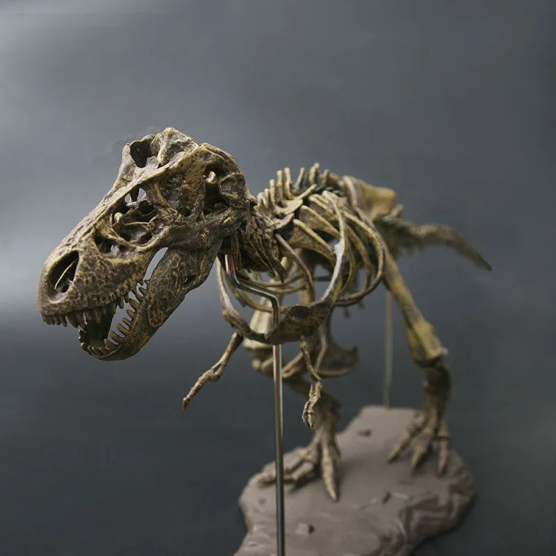 Large DIY Dinosaur Skeleton Toys Ornament Simulation T-Rex Model Jurassi Assembled Skeleton Park Fossilized Dragon for