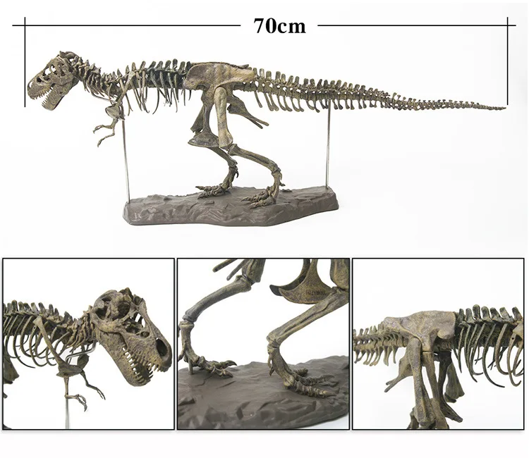 Large DIY Dinosaur Skeleton Toys Ornament Simulation T-Rex Model Jurassi Assembled Skeleton Park Fossilized Dragon for