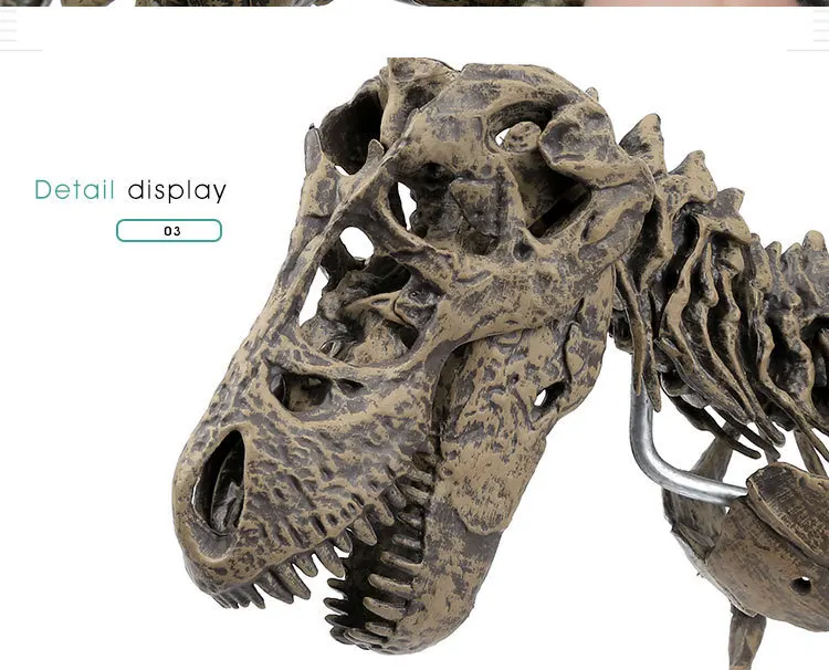 Large DIY Dinosaur Skeleton Toys Ornament Simulation T-Rex Model Jurassi Assembled Skeleton Park Fossilized Dragon for