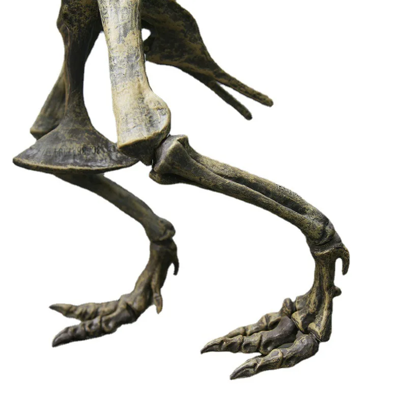 Large DIY Dinosaur Skeleton Toys Ornament Simulation T-Rex Model Jurassi Assembled Skeleton Park Fossilized Dragon for