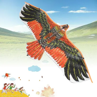 Large Eagle Bird Kite with String Large Eagle Bird Kite with String