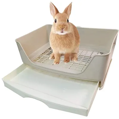 Large Rabbit Litter Tray Trainer