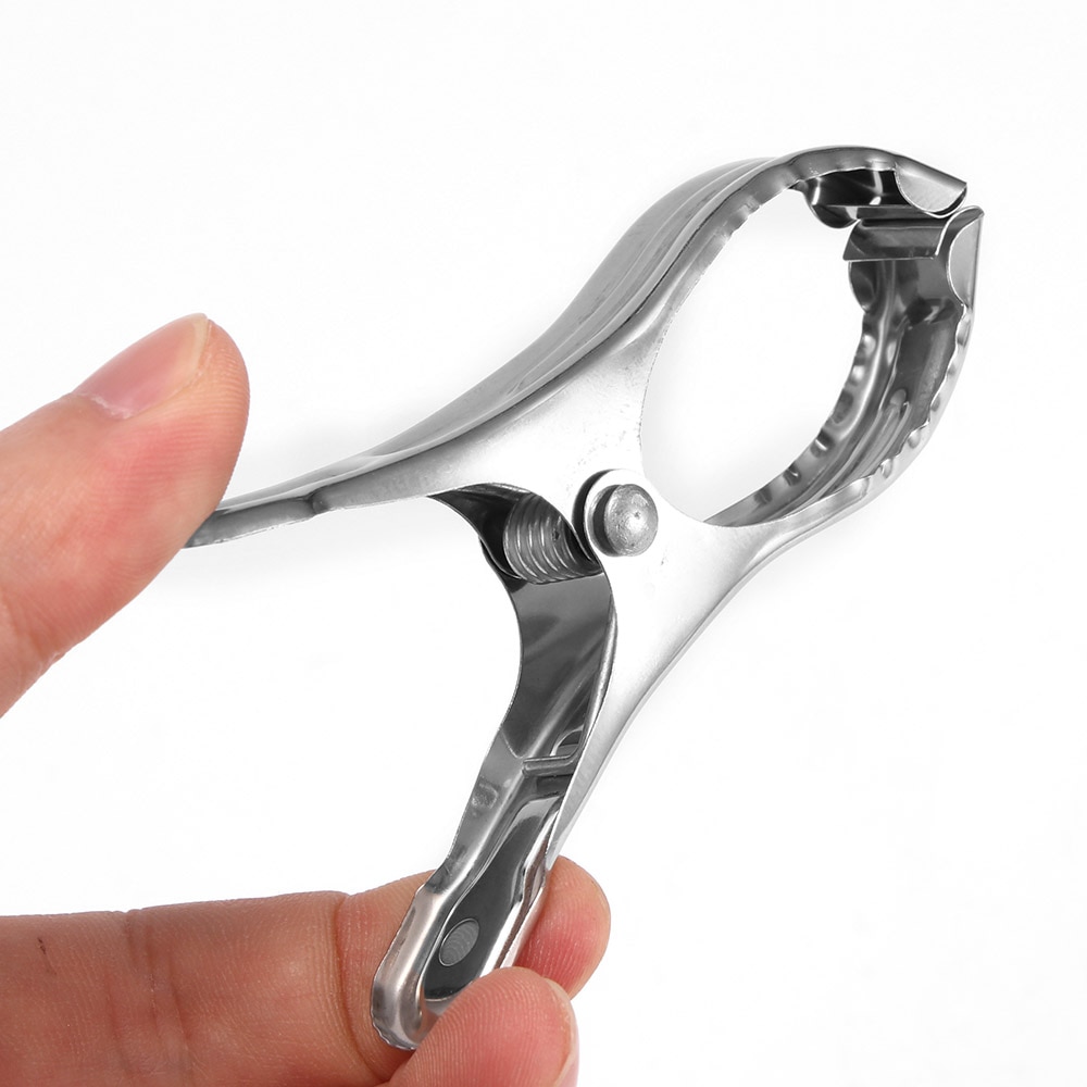 Large Stainless Steel Cloth Clips (5pcs) Large Stainless Steel Cloth Clips (5pcs)