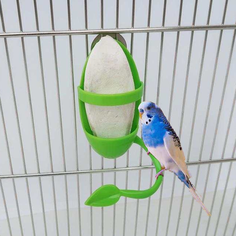Leaf Design Parrot Cuttlebone Holder