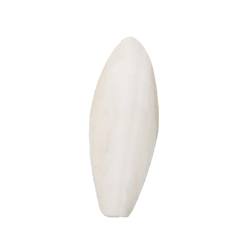 Leaf Design Parrot Cuttlebone Holder