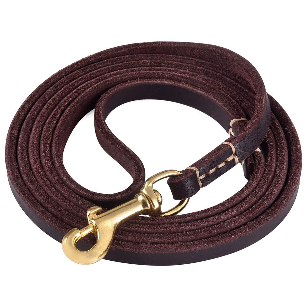 Leather Dog Leash for Small and Medium Sized Dogs