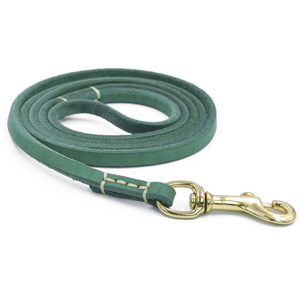 Leather Dog Leash for Small and Medium Sized Dogs