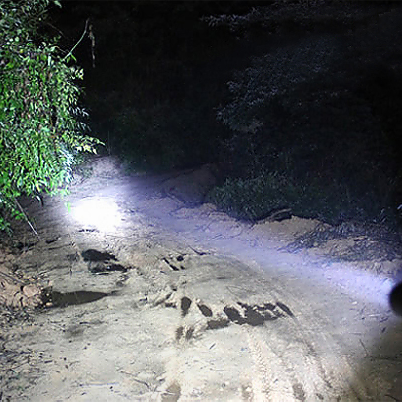 LED Baseball Bat Light Tool LED Baseball Bat Light Tool