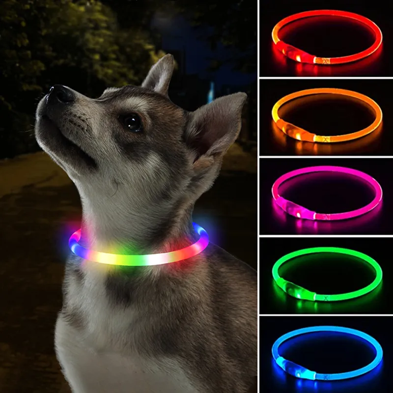 Led Dog Collar Luminous Usb Cat Dog Collar 3 Modes Led Light Glowing Loss Prevention LED Collar For Dogs Pet Dog