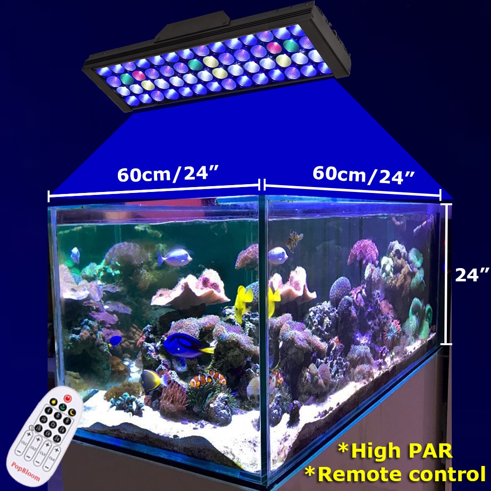 LED Fish Tank Light