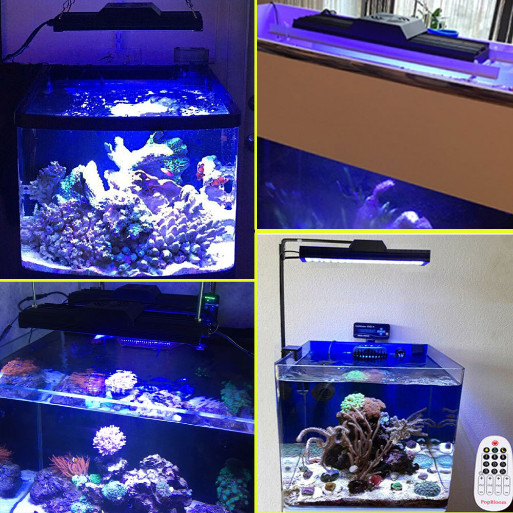 LED Fish Tank Light