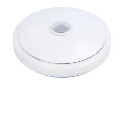 LED Lamp Bluetooth Ceiling Speakers LED Lamp Bluetooth Ceiling Speakers
