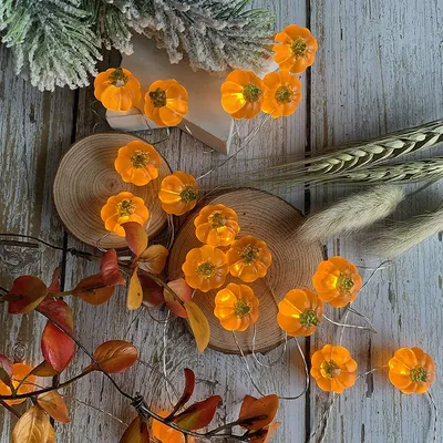 LED Pumpkin Light String with Remote Control LED Pumpkin Light String with Remote Control
