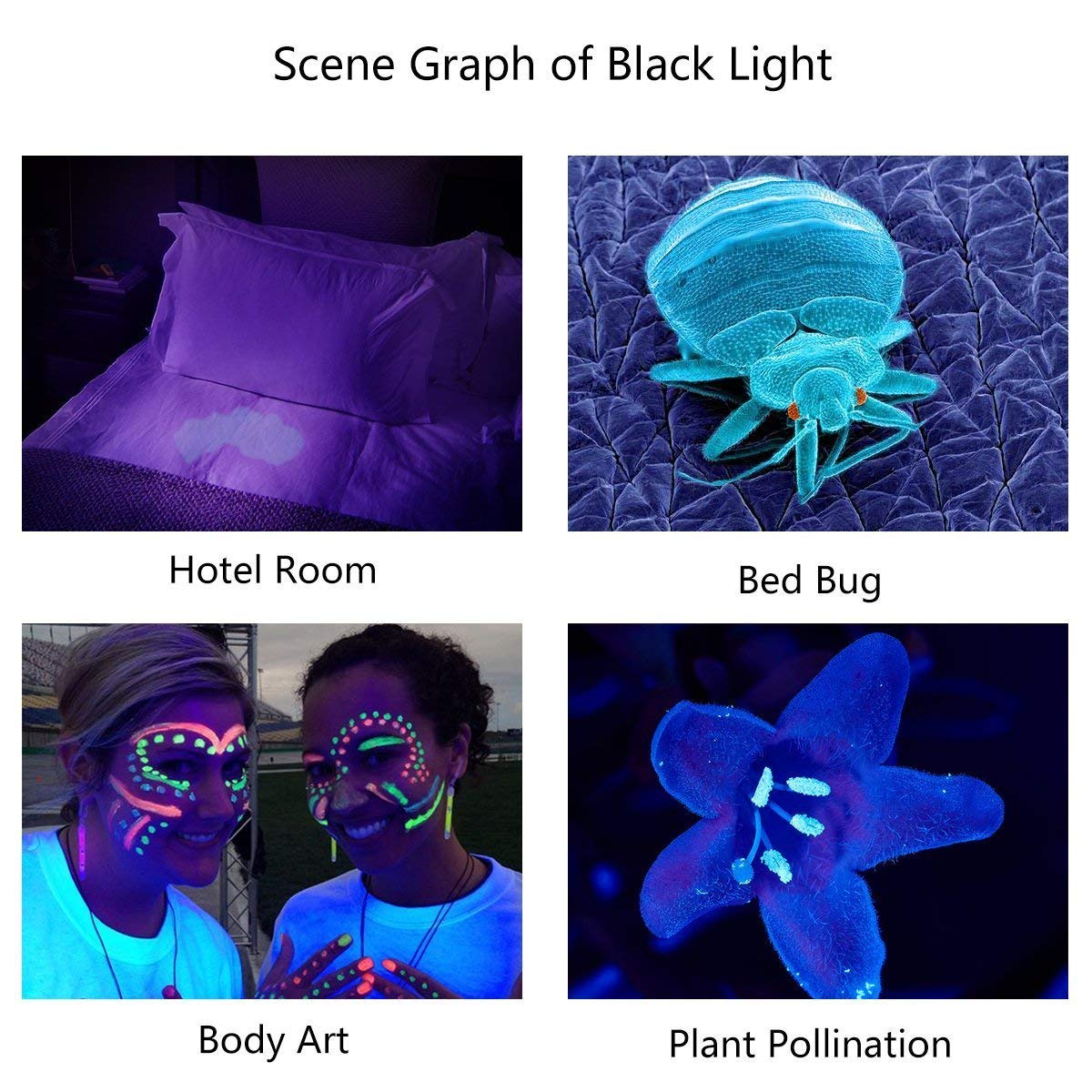 LED Torch Light UV Flashlight LED Torch Light UV Flashlight
