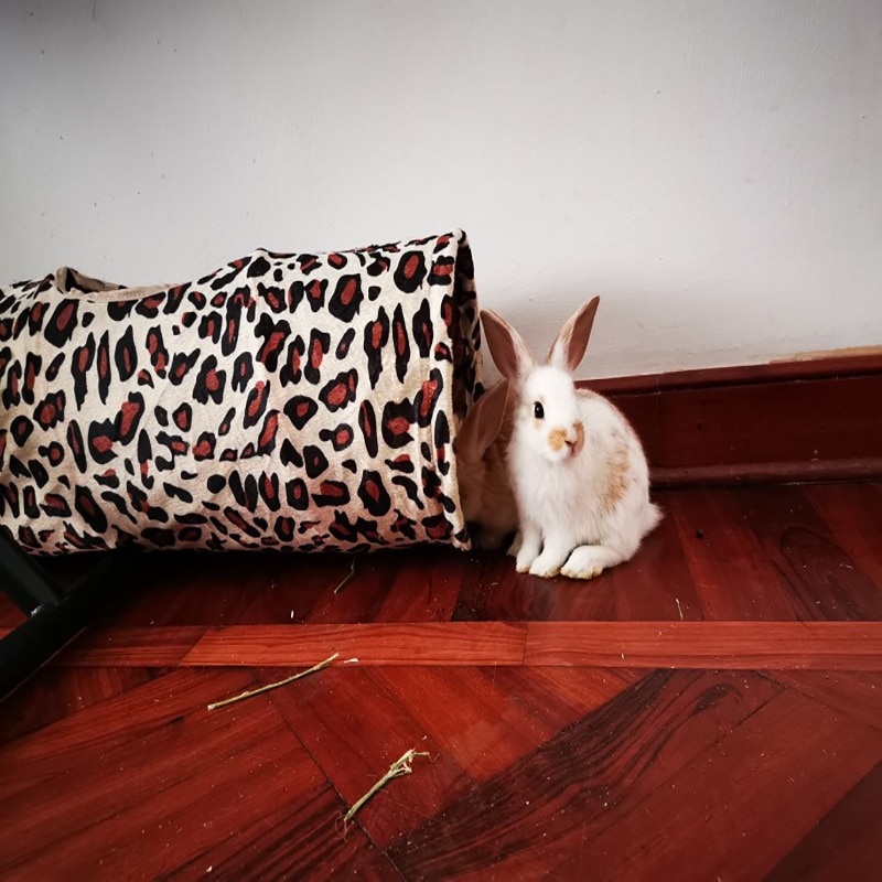 Leopard Print Plush Rabbit Play Tunnel