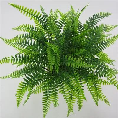 Lifelike Plastic Artificial Fern Leaves
