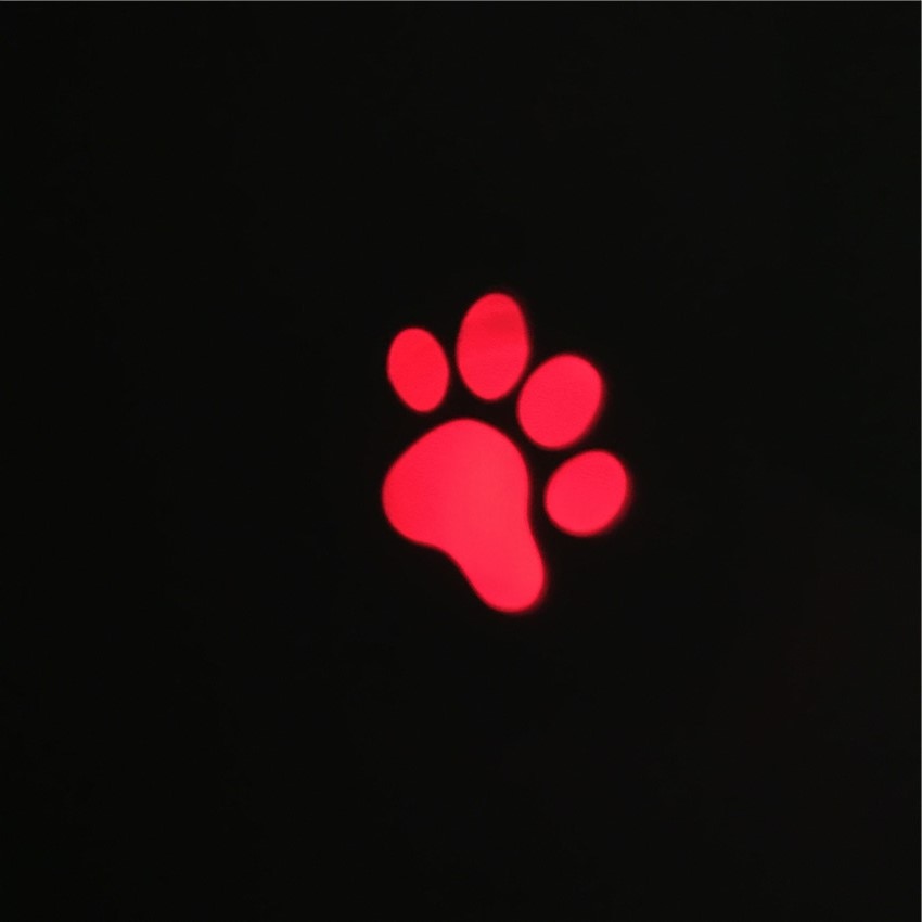 Light Projector Laser Pen for Cats